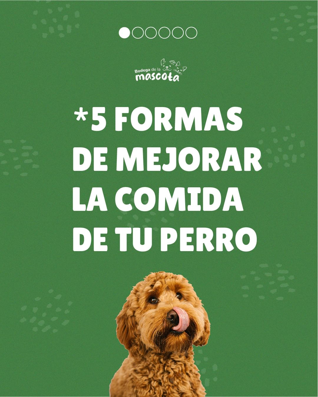 5 Formas de mejorar la comida de tu perro