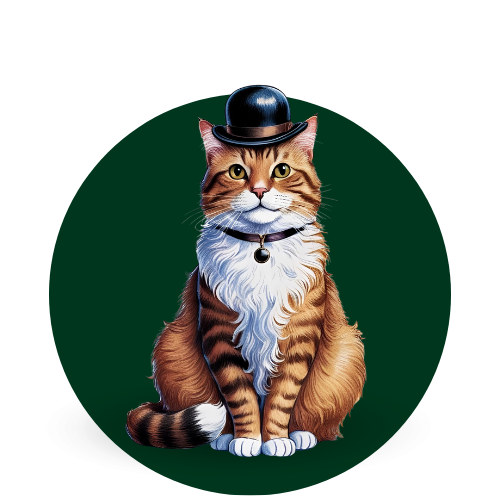 gato senior
