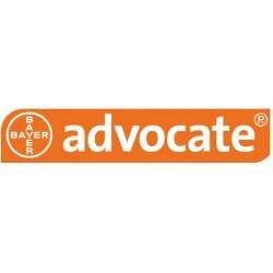 Advocate