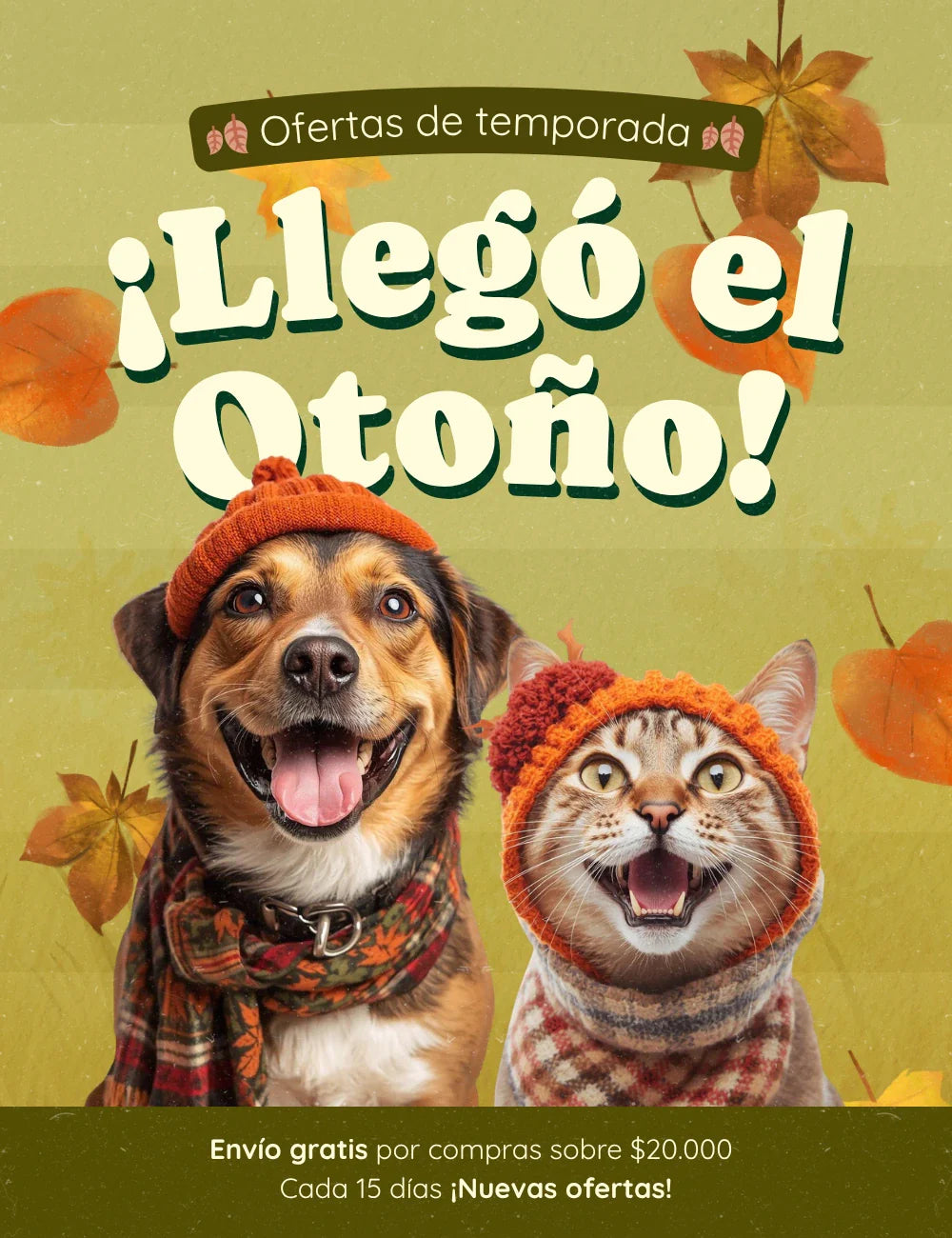Ofertas de Otoño 🍂