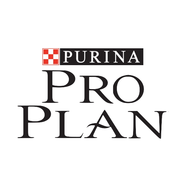 Pro Plan