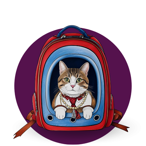Transporte para Gatos
