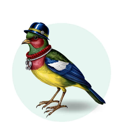 Alimentos para Aves