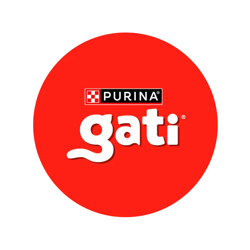 Gati