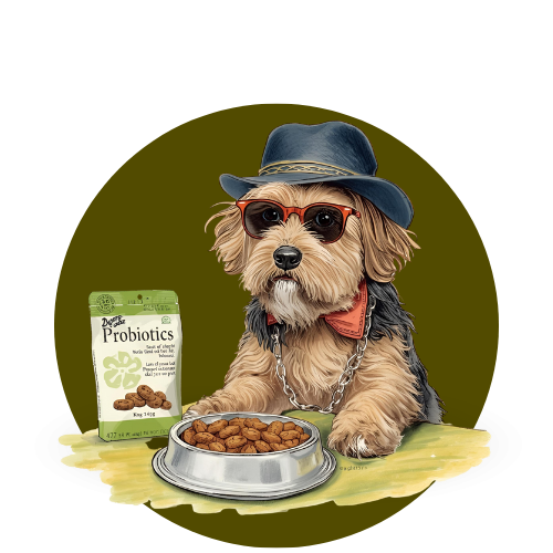 Prebióticos y Probióticos para Perros