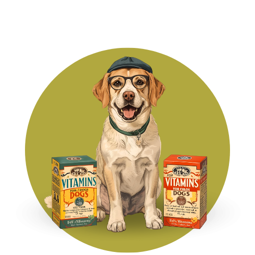 Vitaminas y suplementos para perros