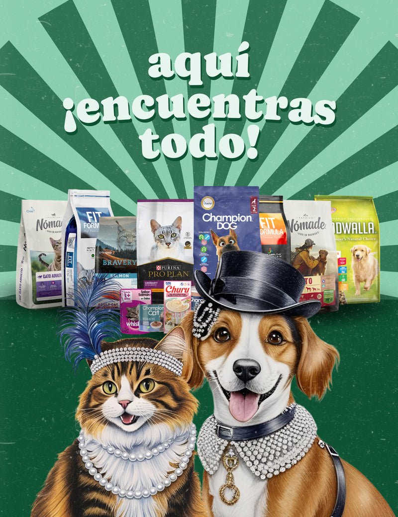 Aquí encuentras todo para tu mascota