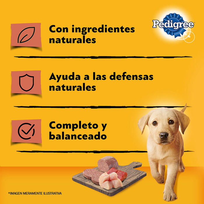 Pedigree Alimento Húmedo Lata Perro Cachorro Carne