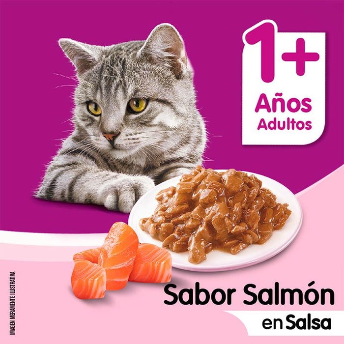 Sobre Salmón en salsa Whiskas Alimento Húmedo - Gato Adulto