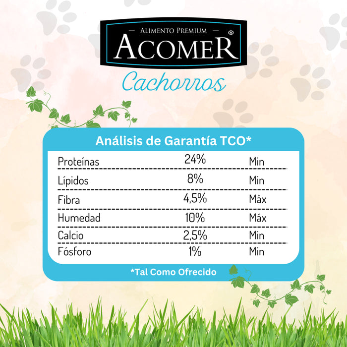 Acomer Perros Cachorros