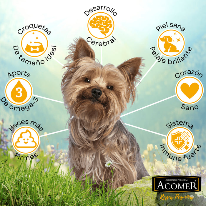 Acomer Perros Adultos Razas Pequeñas