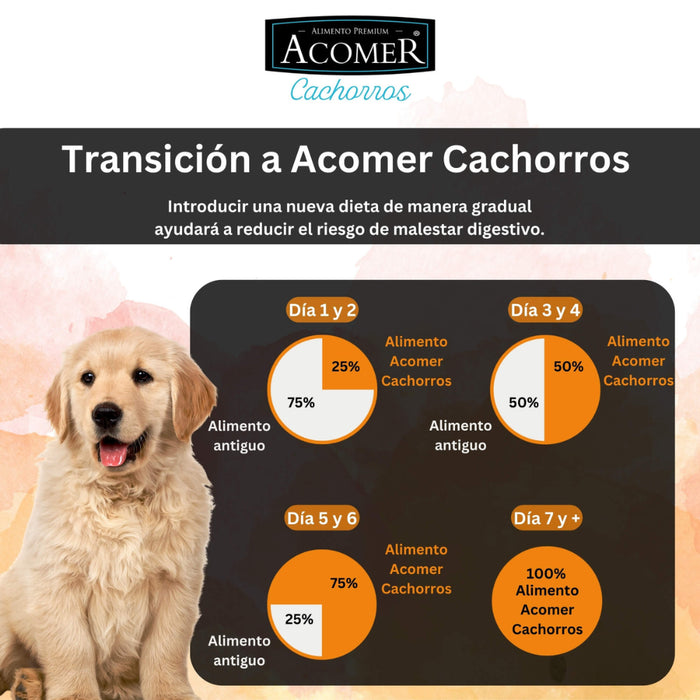Acomer Perros Adultos Razas Pequeñas