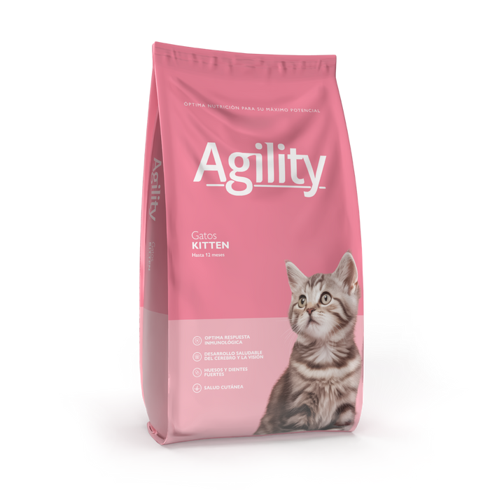 Agility Gato Kitten