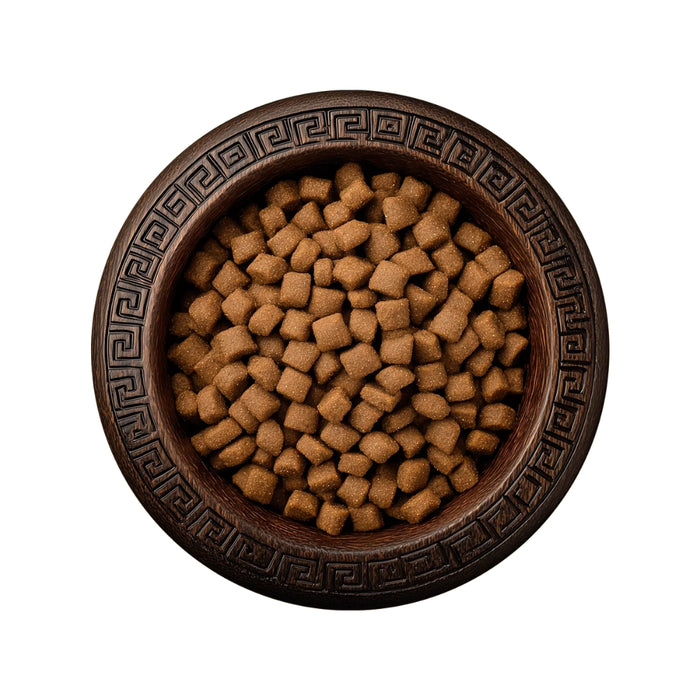 Arcadia Perros Cachorros