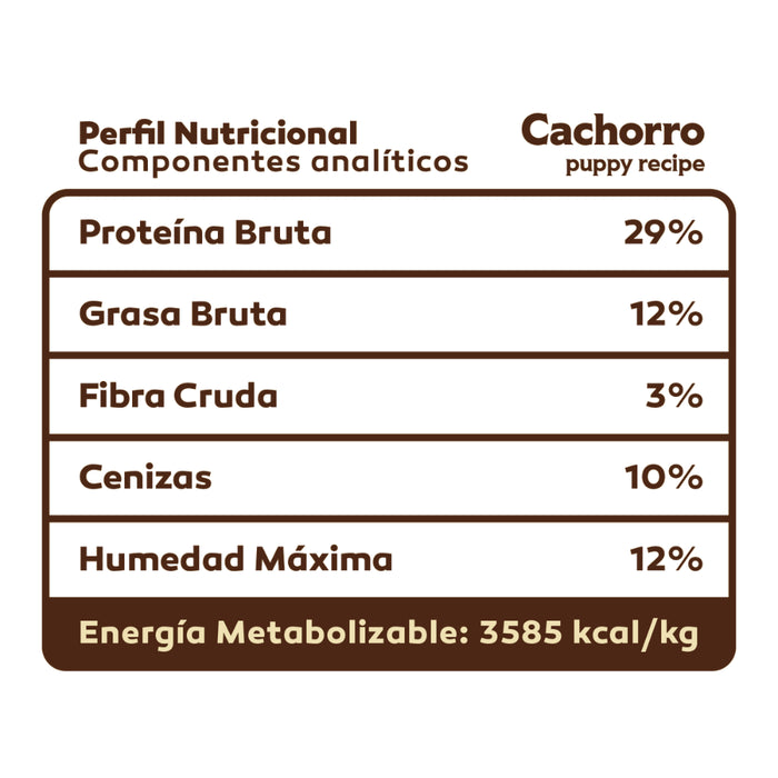 Arcadia Perros Cachorros