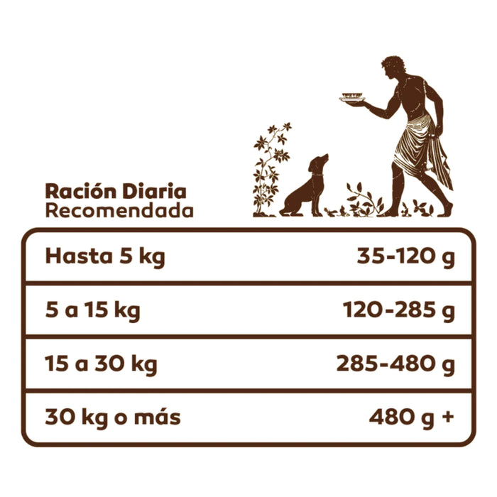 Arcadia Perros Cachorros