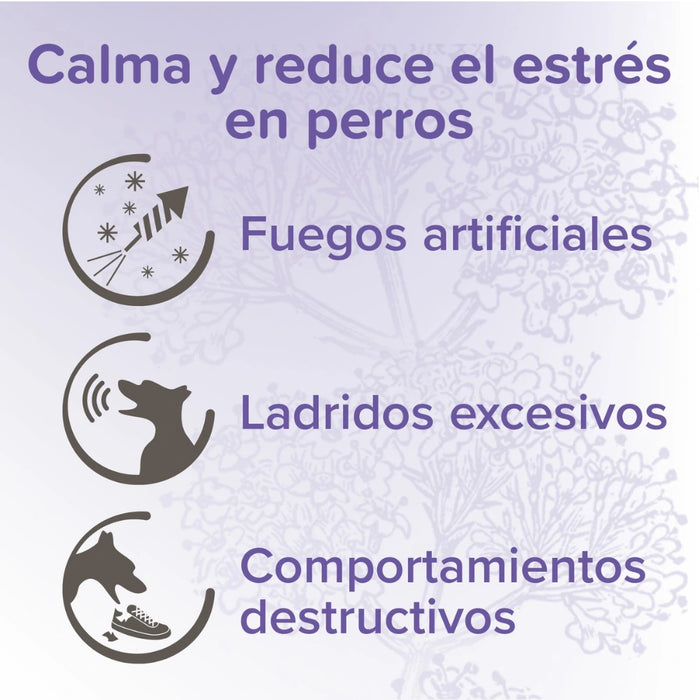 Beaphar Calming Spot On — Pipeta Calmante para Perros
