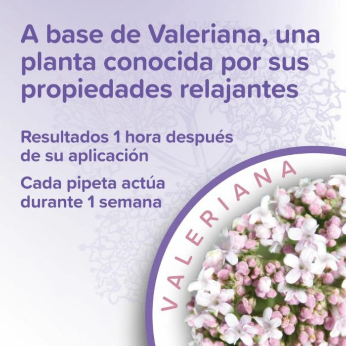 Beaphar Calming Spot On — Pipeta Calmante para Perros