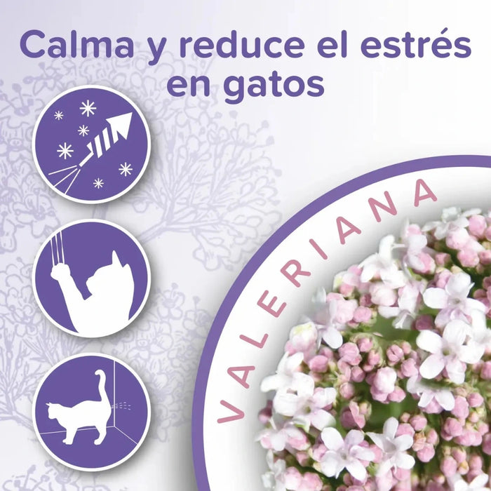Beaphar Collar Calmante para Gatos