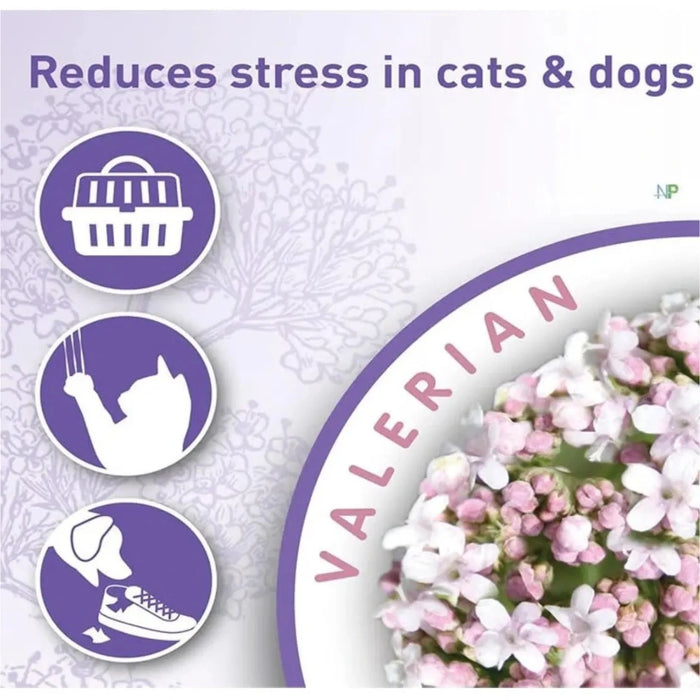 Beaphar Spray Calming Home para Perros y Gatos