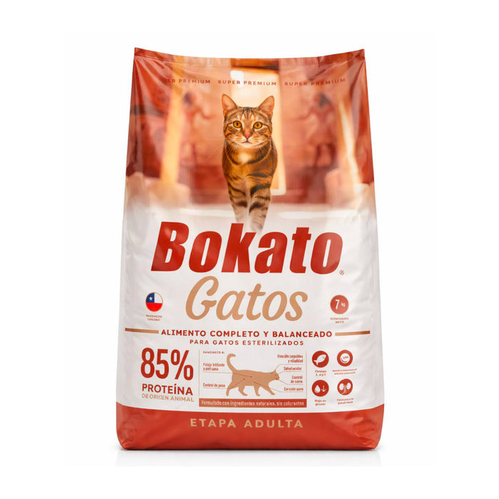 Bokato Gatos