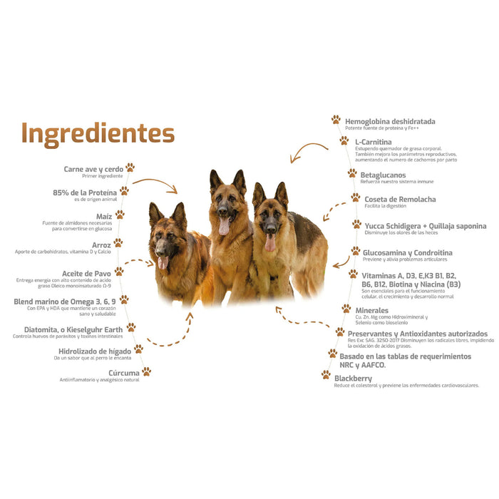 Bokato Gold Super Premium Perro Adulto