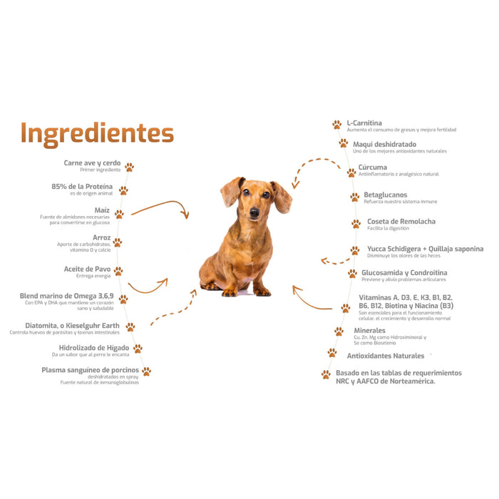 Bokato Petit Razas Pequeñas