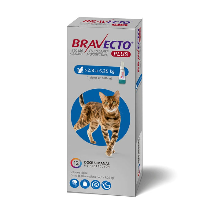 Bravecto 3 Meses Gato entre 2.8 a 6.25 kg