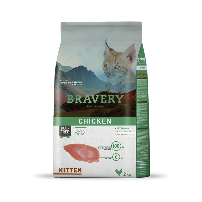 Bravery Chicken Kitten