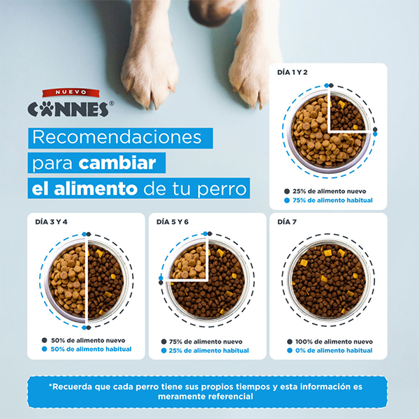 Cannes Adulto Carne y cereales