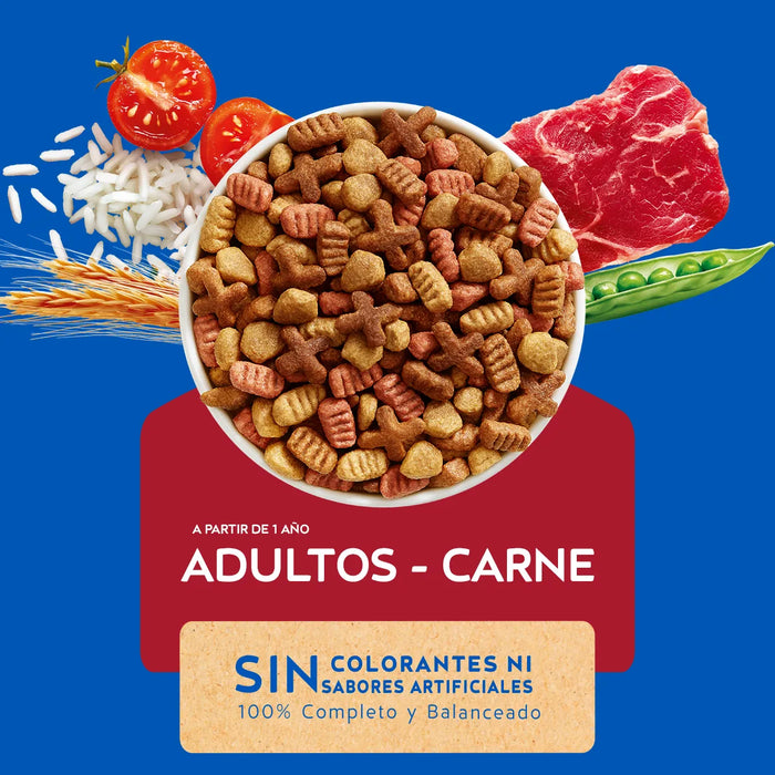 Cat Chow Carne Adulto