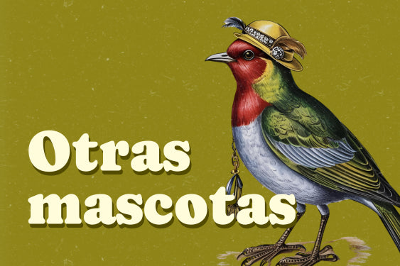 Categoría otras mascotas