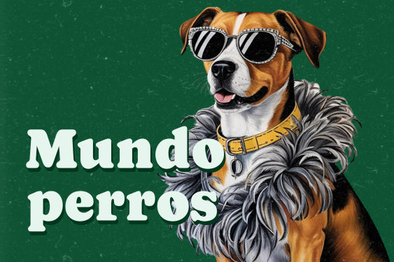 Categoría mundo perros