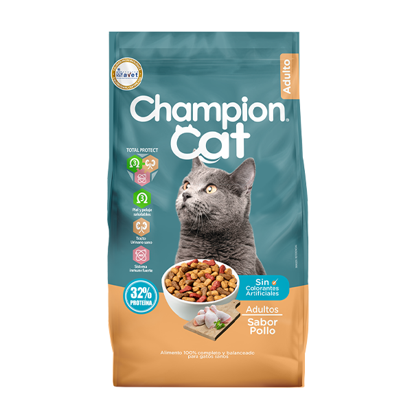 Champion Cat Pollo