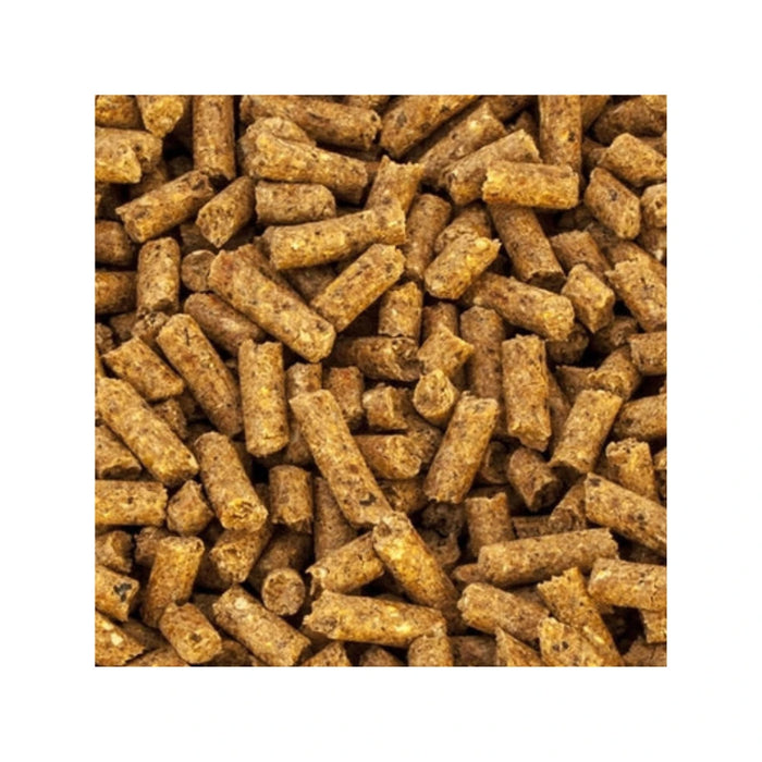 Champion Ponedora Final Pellet para Gallinas 25 kg