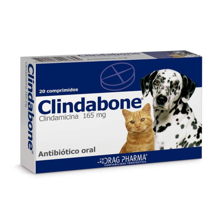 Clindabone Antibiotico para Perro y Gatos