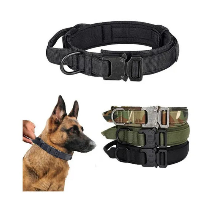 Collar Tactico Reforzado y Asa Talla L