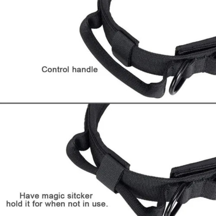 Collar Tactico Reforzado y Asa Talla L