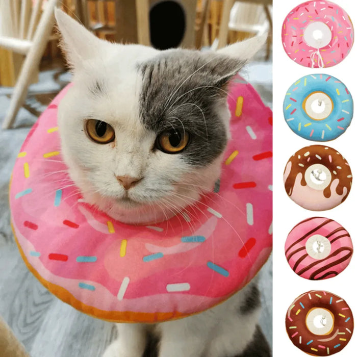 Collar Isabelino Dona para Gatos