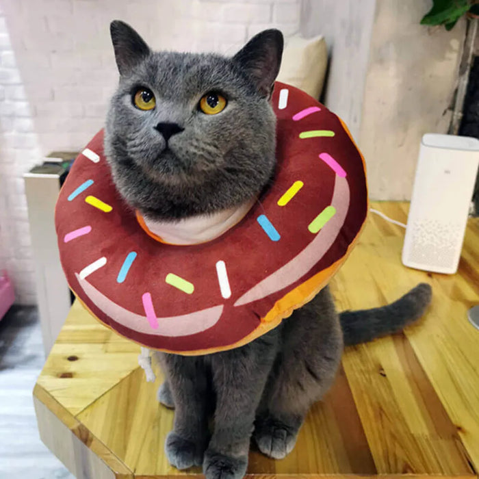 Collar Isabelino Dona para Gatos