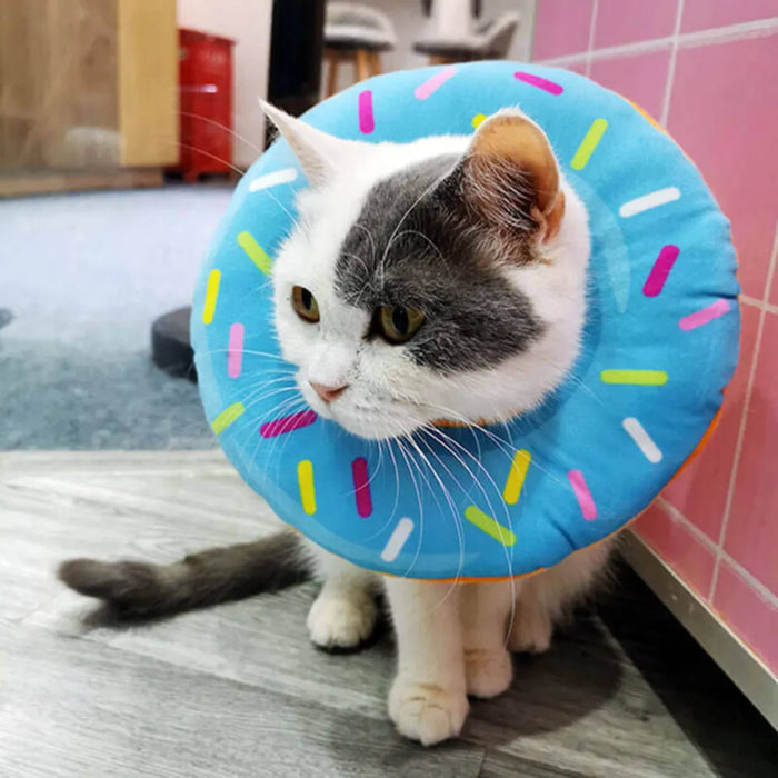 Collar Isabelino Dona para Gatos