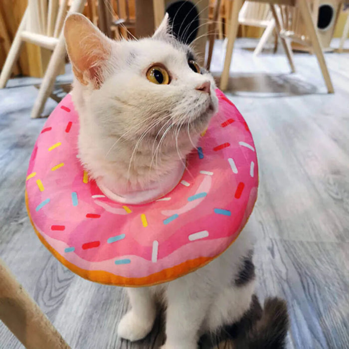 Collar Isabelino Dona para Gatos