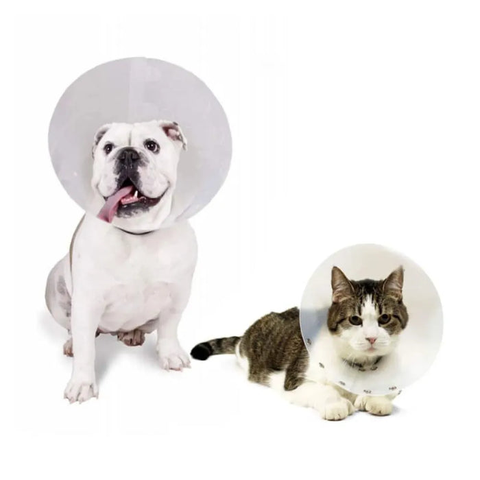 Collar Isabelino para Perros y Gatos