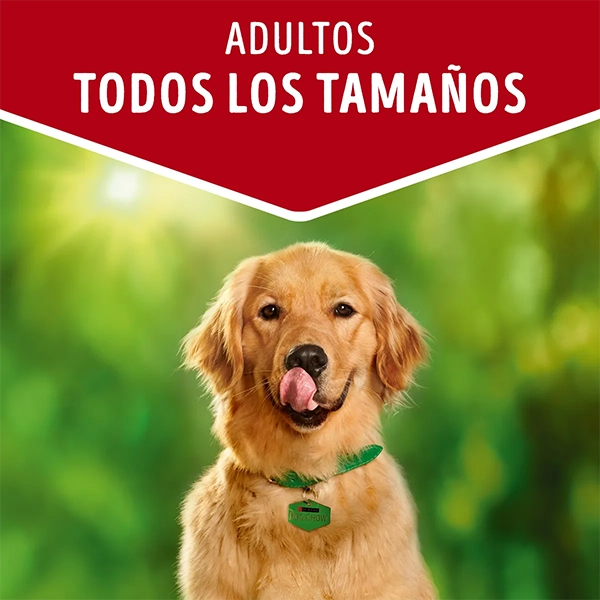 Sobre Dog Chow Adultos Todas las Razas, sabor Carne