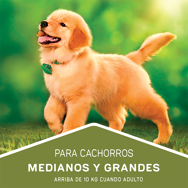 Dog Chow Carne y pollo para perros cachorros medianos y grandes