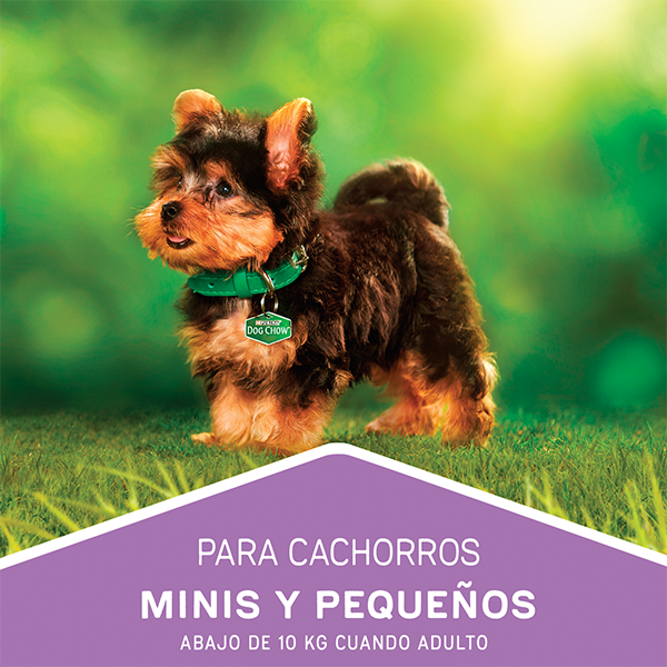 Dog Chow Carne y pollo para perros cachorros Minis y Pequeños