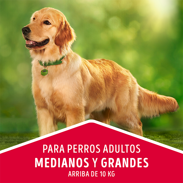 Dog Chow adultos medianos y grandes, sabor carne y pollo