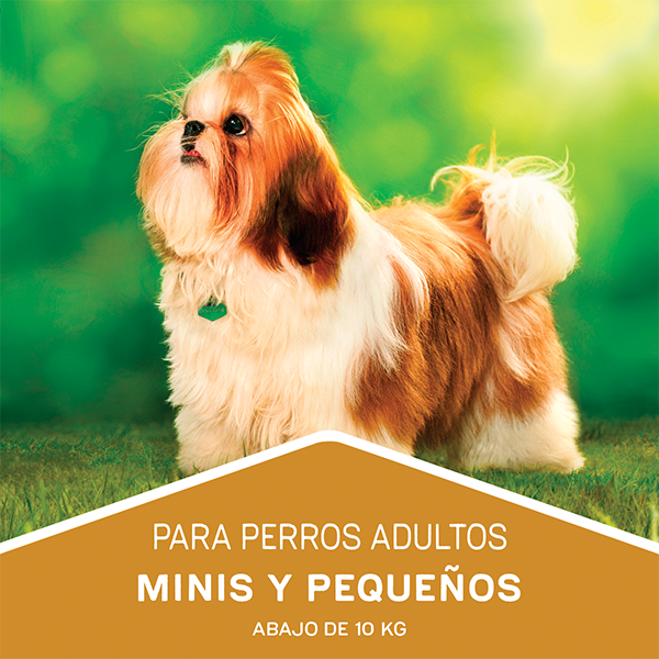 Dog Chow Pollo y pavo para perros adultos Minis y Pequeños