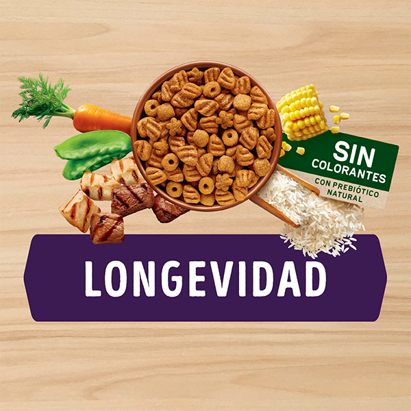 Dog Chow Senior Longevidad