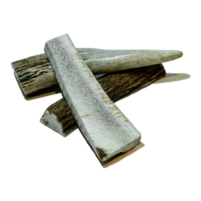 Doggo Asta de Ciervo Pequeña